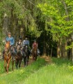 Horse riding on the Zabola domain - riding on the footsteps of Count Armin Mikes