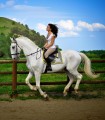 Equestrian experience: horse riding along the Olt river