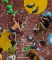 Sport and fun - Climbing for adults and children in Brasov