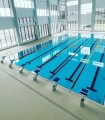 Swimming courses for children and adults in Otopeni