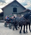 One-hour family carriage ride near Pitesti