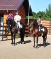 Horseback riding for 2 people - a 45 minutes session near Pitesti