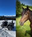 Discover the beauty of nature: ATV trail, horse riding in Arges