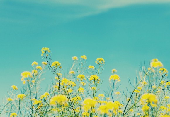 Idei de cadouri inedite pentru iubitorii de natura